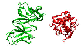 Initial Structures
