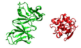 Initial Structures