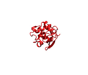Ligand