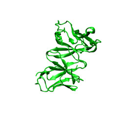 Receptor