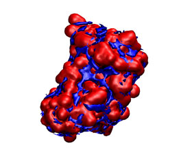 Receptor vdW map