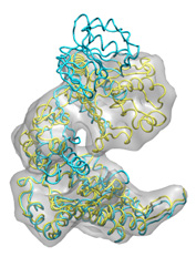 Intermediate Model (Click to enlarge)