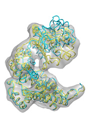 Intermediate Model (Click to enlarge)
