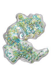 Intermediate Model (Click to enlarge)