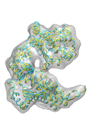 Intermediate Model (Click to enlarge)