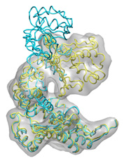 Initial Model (Click to enlarge)