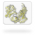 Hybrid methods
